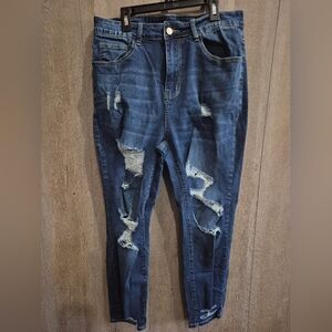 Distressed Blue Jeans for Women (Size 1X)